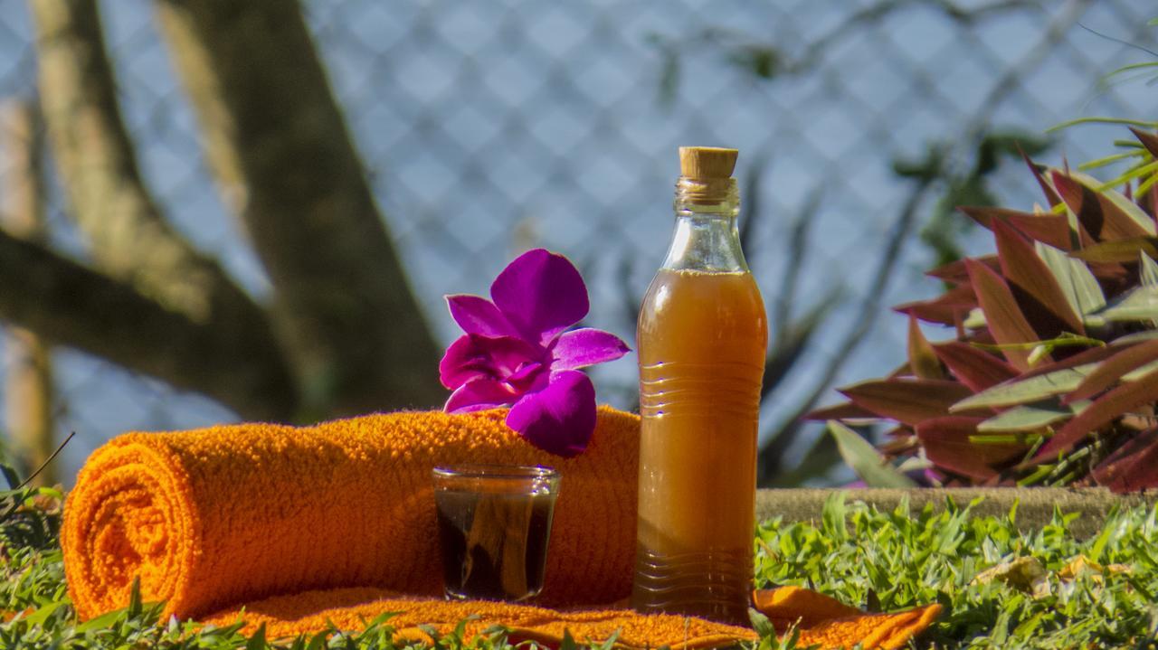 Hotel Ayurveda Spring Of Life Piliyandala Esterno foto